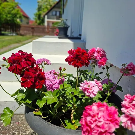 Casa vacanze Hibiscus Nyaralo *